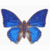 Blue Butterfly Shaped Rug