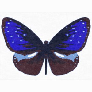 One-of-a-kind butterfly silhouette rug handcrafted to your exact specifications and color preferences