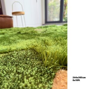 custom-green-moss-carpet-living-space