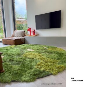 moss-green-tufted-shag-rug-livingroom